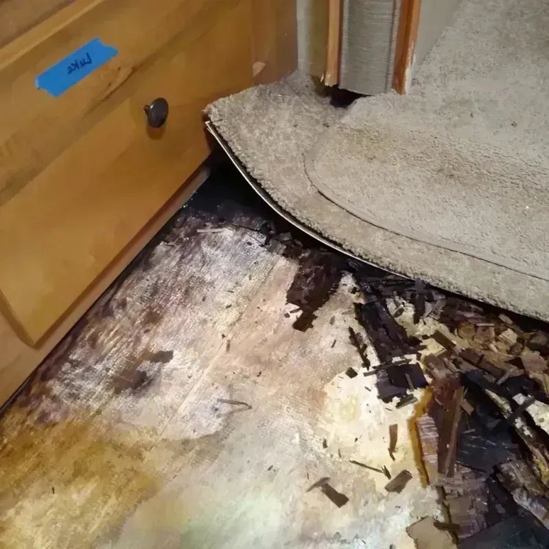 Wood Floor Water Damage in Charles Village, MD